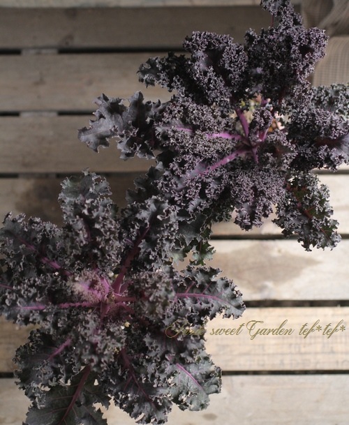 ե󥸤λ祱롡إѡץݥåס