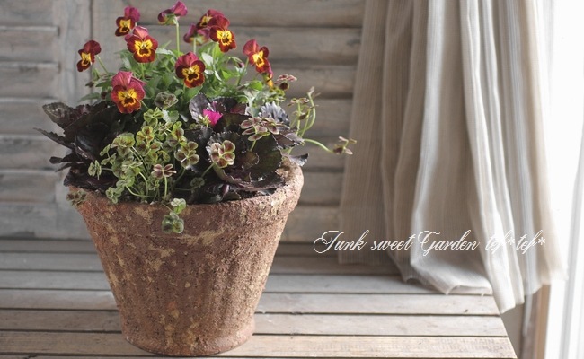 tef*tef*�󤻿���<BR>2015 * no.102 *<BR><BR>�ӥ���إ��åѡ��١��ղ�ð