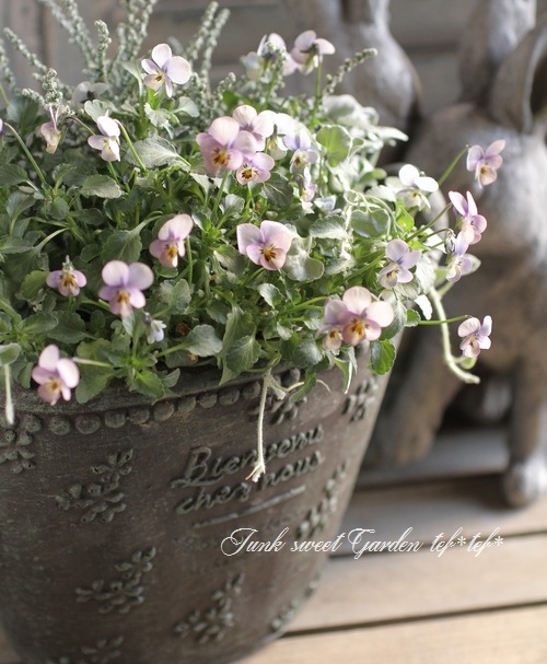 tef*tef*�󤻿���<BR>2015 * no.108 *<BR><BR>�ض˾��إӥ����