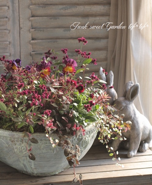 tef*tef*󤻿<BR>2015 * no.110 *<BR><BR>إ쥬 X'mas