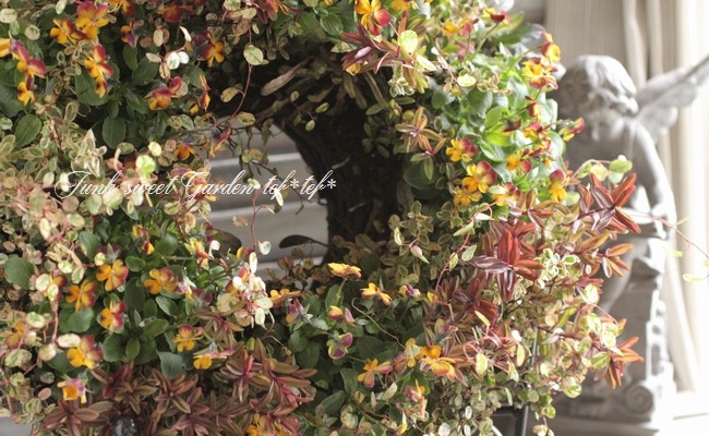 tef*tef*󤻿꡼<BR>2015 * no.112 *<BR><BR>ߤΥ꡼