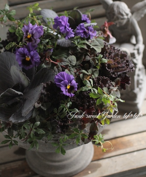 寄せ植えセット　ゆゆ様　ご注文　プティフール　ビオラ ビオラ ミルフル 3.5号 10.5cm 良株 寄せ植え 花苗 まとめ割