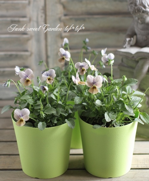 ヴィオラ VIOLAd'ORO (ヴィオラドーロ) ヴィーガンレザー ショルダー付き小