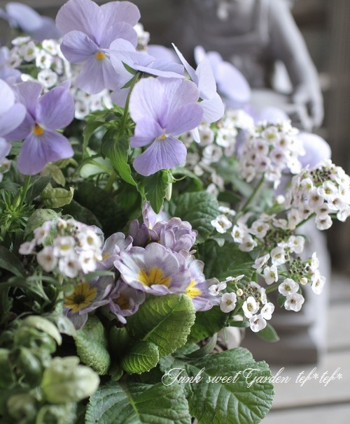 【即日発送】ペテンシー2枚＆ペテンズゲート デュエマ】 ペテンズ・ゲート DM25RP4/VR の通販 - カーナベル