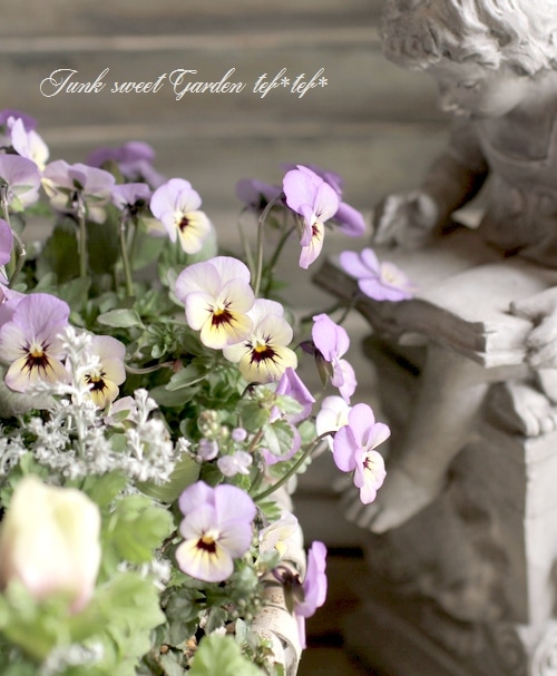 アネモネ tef*tef*寄せ植え<BR>2016 * no.36 *<BR><BR>『アネモネ×バスケット