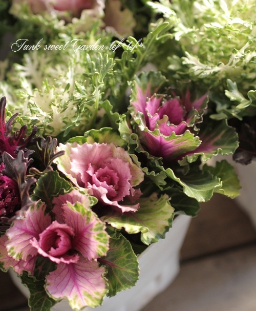 tef*tef*���̥֡�����Ω�ơ����Ȥ��ա����饭���ղ�ð���ظ��ҡ����ꥹ�ޥ�MIX��