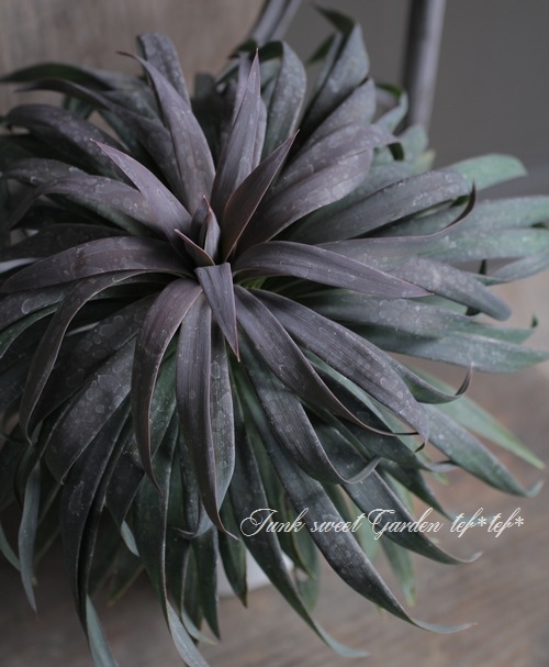 ��å����إǥ���ƥ������ʡ١�No.A