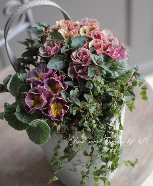 tef*tef*�󤻿��� 2017<BR> * no.11 *<BR>����ƥ������ѡ��ץ�