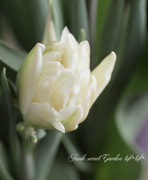 きいろチューリップの置物(専用) きいろチューリップの置物(専用)