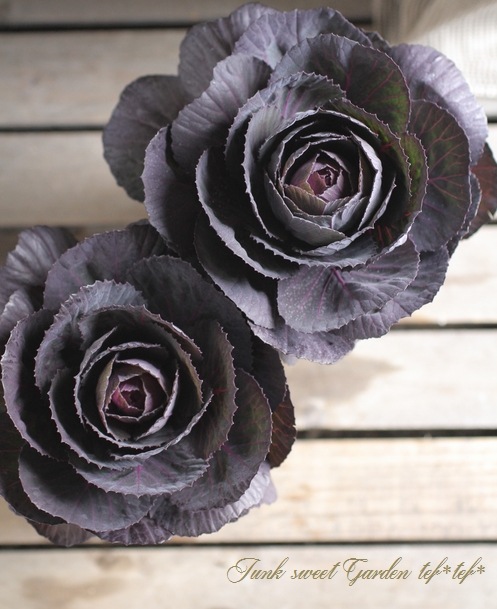 å׺餭ղð֥å륷󡡡إ٥륵