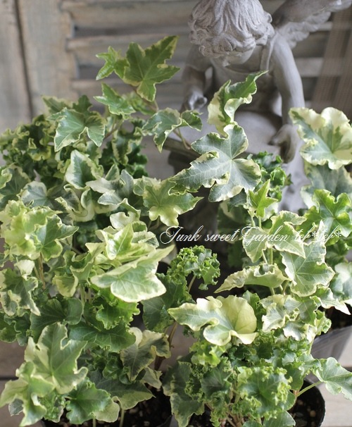 եإǥ顡إꥢ١إ塼꡼å