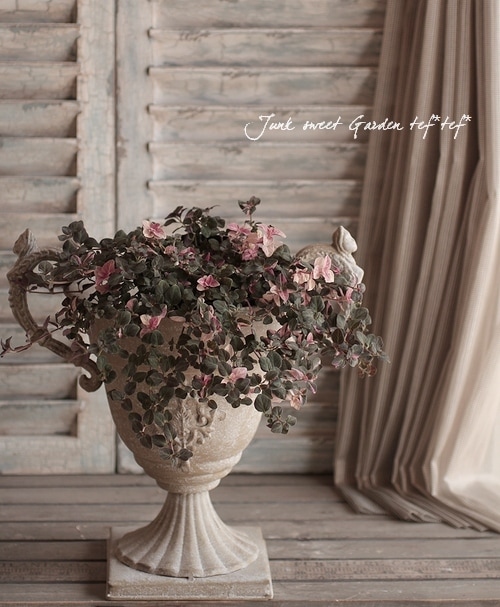 ������Ƽ�եꥷ�ޥ������إ��塼�ƥ��󥰥�������