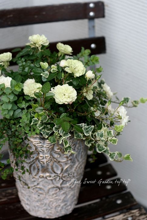 ڻߡۥʥƥȡݥå2åȡ