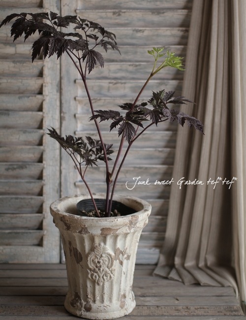 ڻߡۥ롦饦ɥݥåȡƥۥ磻