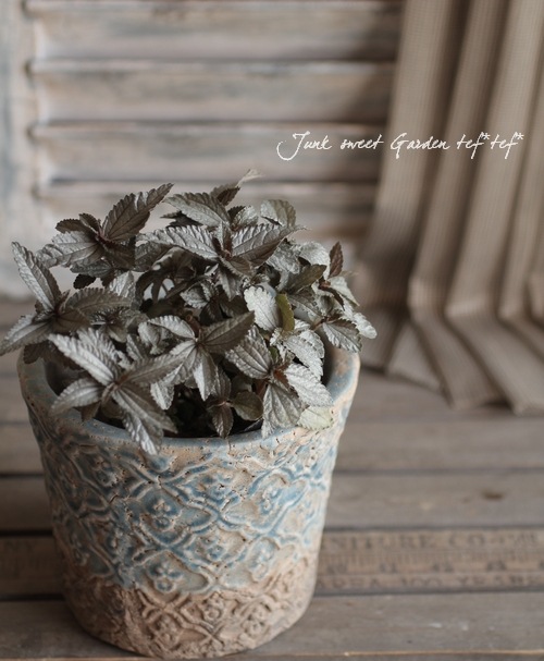 �ڻ��ߡۥ��쥹�ȡ����������ݥå�