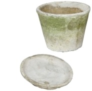 ڻߡۥƥۥ磻ȡݥå 25cm