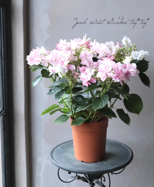 まゆかよさま売約済み羽織紐〈Bouquet・くすみ紫陽花・盛り