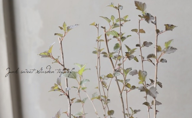 Ƽ�ե���ꥫ�ƥޥꥷ��ĥ����إ��ޡ��磻��� ����ѥ����ʼ� ������