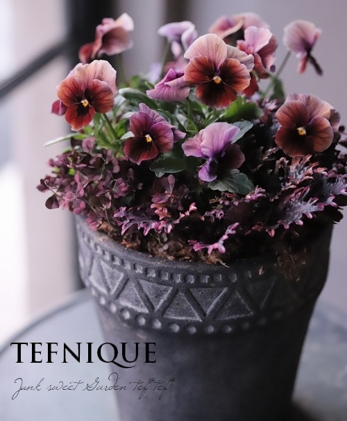 -TEFNIQUE-�󤻿��� 2020 * no.43 *������Ͳİ����ߥ��ƥ�å������ꥹ�ޥ�����