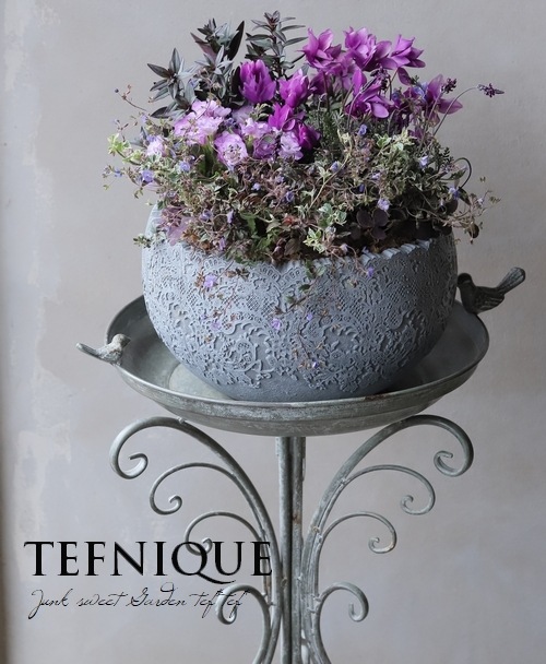 Ƽ�ե��󥮥祽�����إ֥�å��ץ�󥹡� �إ֥��󥺥�åɡ�