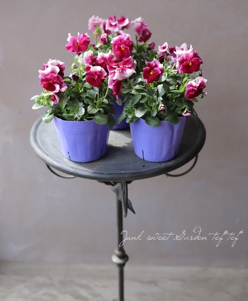 臘ꥸʥӥ顡إ쥤ܡPRB١ԥ󥯥ӡ