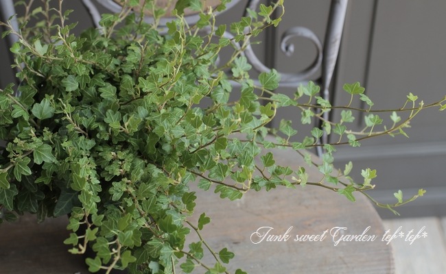 �إǥ顡�إ��å��եåȡ١����Ҥ��­�η�