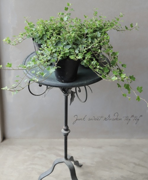 �إǥ顡�إ��å��եåȡ١����Ҥ��­�η�