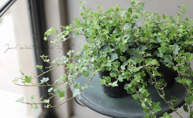 �إǥ顡�إ��å��եåȡ١����Ҥ��­�η�