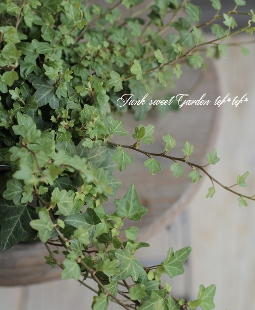 �إǥ顡�إ��å��եåȡ١����Ҥ��­�η�