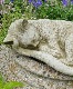 ڻߡ ѹSPARTA STATUES Kitten A ǥ󥪡ʥ