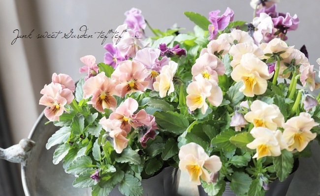 �������व��Υӥ��顡�إѥ��ƥ�ե��١��ڥ١������