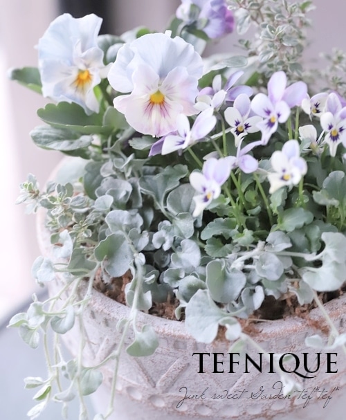 TEFNIQUE-寄せ植え 2020 * no.44 * 『あなたの花好きは誰の影響かな
