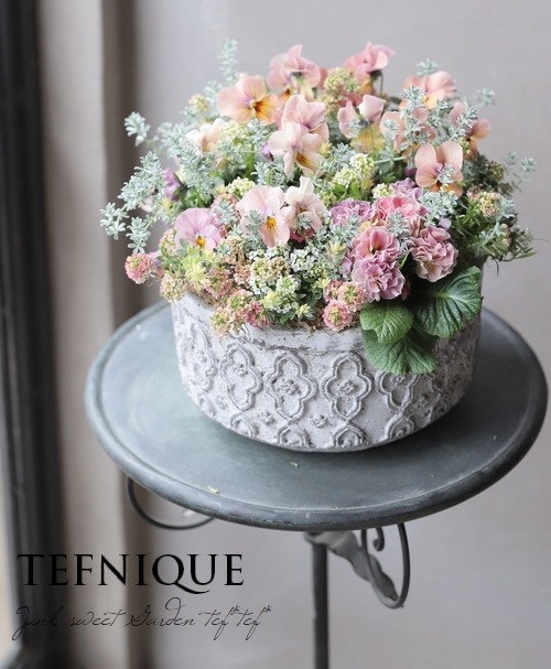 �ڻ��ߡۥڥ��󥯥롦�����ݥå� L������