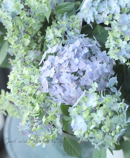 ڵȲҤ ۲֡ŷ-ޥƥܥ-  ڥ֥롼