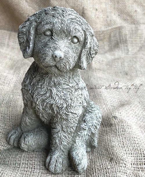 �ڻ��ߡ� �ѹ�SPARTA STATUES ��Cockapoo�� �����ǥ󥪡��ʥ���