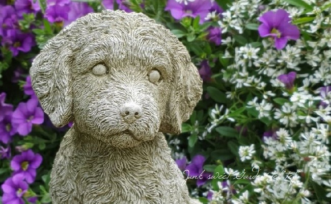 �ڻ��ߡ� �ѹ�SPARTA STATUES ��Cockapoo�� �����ǥ󥪡��ʥ���
