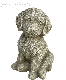 �ڻ��ߡ� �ѹ�SPARTA STATUES ��Cockapoo�� �����ǥ󥪡��ʥ���