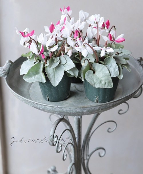 ブチェラッティ　ミニシルバートレイ　洋梨とイチジク　2個おまとめ ミニ四駆】ウィール・シャフトチェッカー （520ベアリング付き