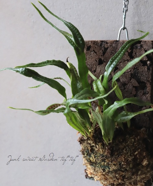 �ڴ��տ�ʪ�� ���ĳ��ȡ١���������