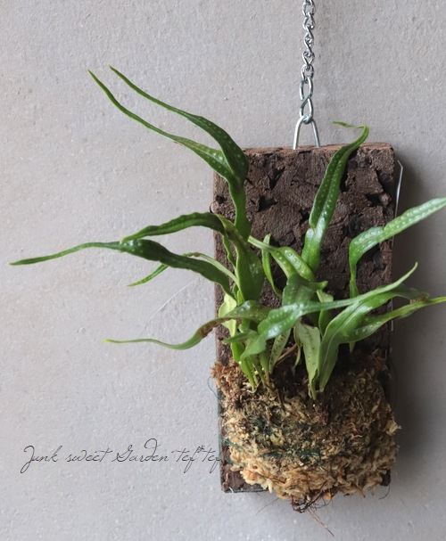 �ڴ��տ�ʪ�� ���ĳ��ȡ١���������