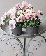 ���ڹ�߷���󥪥ꥸ�ʥ�� �ե�󥸥ѥ󥸡� �إΥ����른�å��ࡼ���