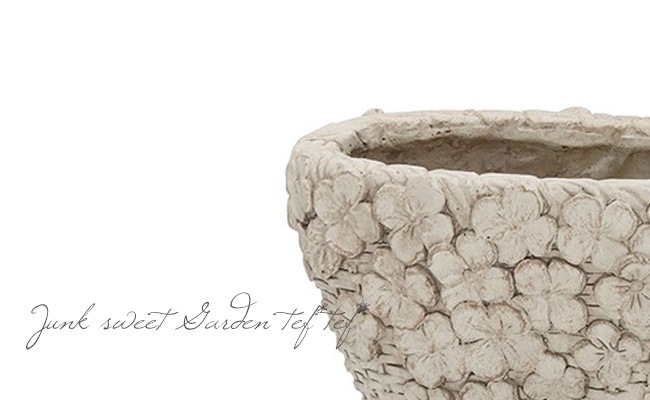 ڻߡۡڷ̡ ꡼ХåȥХSڥܥ꡼