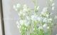 ��LUXURY SELECTION�ۡػ���ʼ�F��tef*tef*���ꥸ�ʥ롪�����ޥ��ڲָ����20��off��