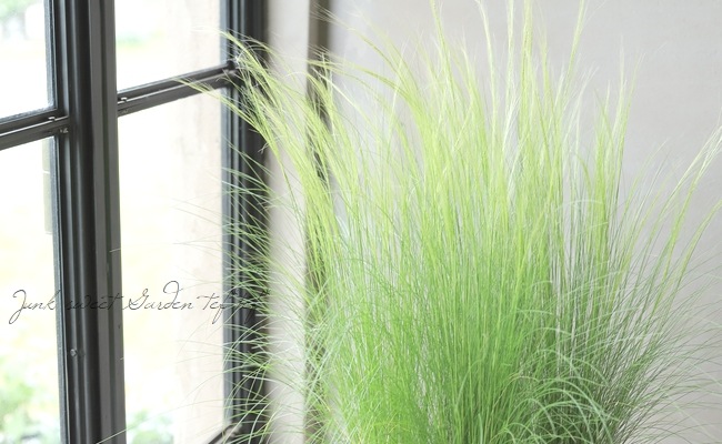 �ڥ��饹��ʪ�� ���ƥ��ѡ��ƥ̥��å��� �إ��󥸥���إ��� �إե��������饹��