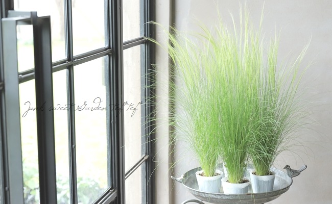 �ڥ��饹��ʪ�� ���ƥ��ѡ��ƥ̥��å��� �إ��󥸥���إ��� �إե��������饹��