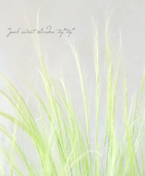 �ڥ��饹��ʪ�� ���ƥ��ѡ��ƥ̥��å��� �إ��󥸥���إ��� �إե��������饹��