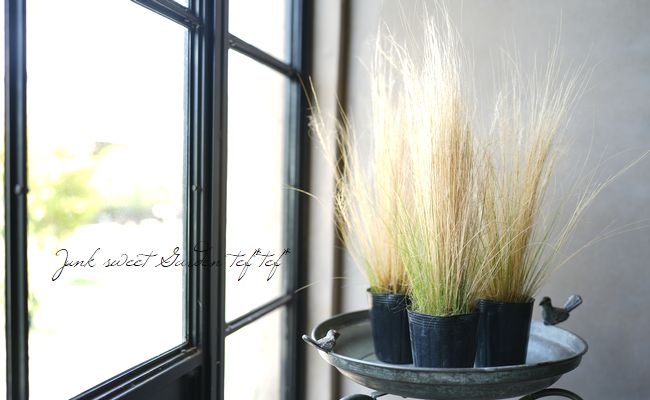 �ڥ��饹��ʪ�� ���ƥ��ѡ��ƥ̥��å��� �إ��󥸥���إ��� �إե��������饹��