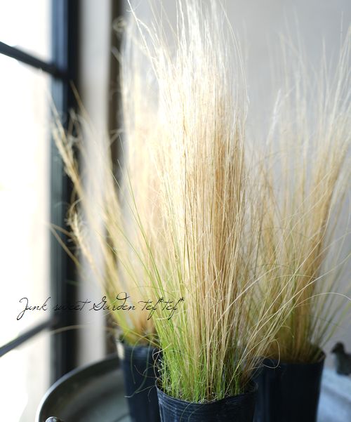 �ڥ��饹��ʪ�� ���ƥ��ѡ��ƥ̥��å��� �إ��󥸥���إ��� �إե��������饹��