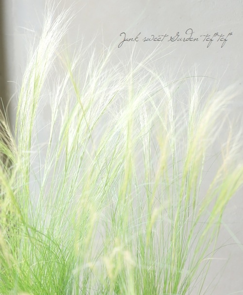 �ڥ��饹��ʪ�� ���ƥ��ѡ��ƥ̥��å��� �إ��󥸥���إ��� �إե��������饹��