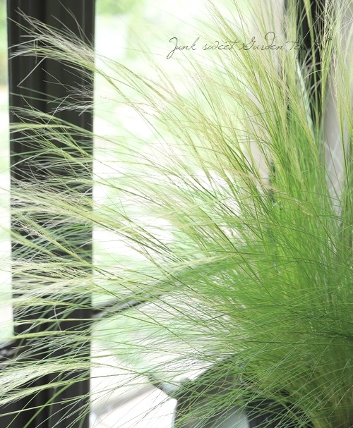 �ڥ��饹��ʪ�� ���ƥ��ѡ��ƥ̥��å��� �إ��󥸥���إ��� �إե��������饹��